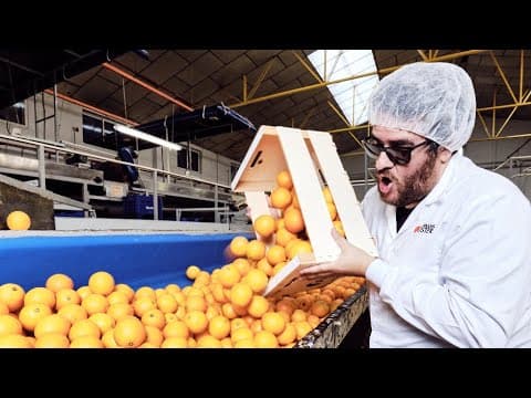Miniatura del vídeo de TONI DE L'HOSTAL