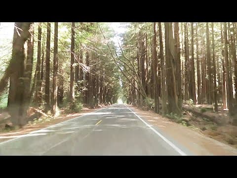Miniatura del vídeo de DANIEL NORGREN