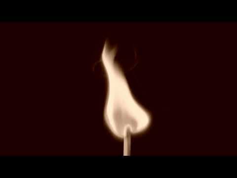 Miniatura del vídeo de REDBOB