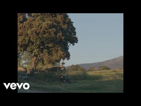 Miniatura del vídeo de EL NIDO