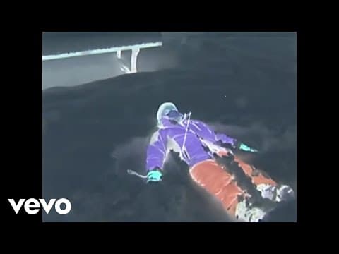Miniatura del vídeo de SURFIN' BICHOS + ANDER MORNINGS