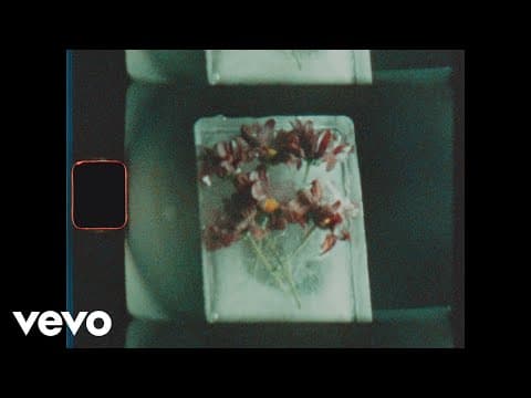 Miniatura del vídeo de HERMANOS CUBERO