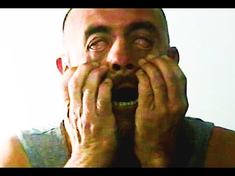 Miniatura del vídeo de PALO DOMADO