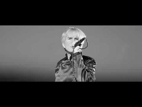 Miniatura del vídeo de THE WOGGLES