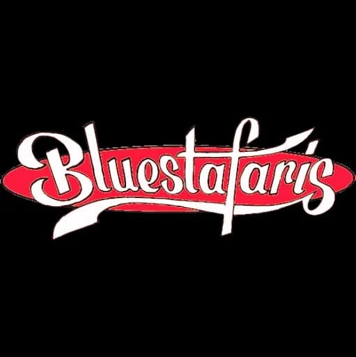 BLUESTAFARIS + FUNKY FRANKLES + DJ ROBERTO EL GATO