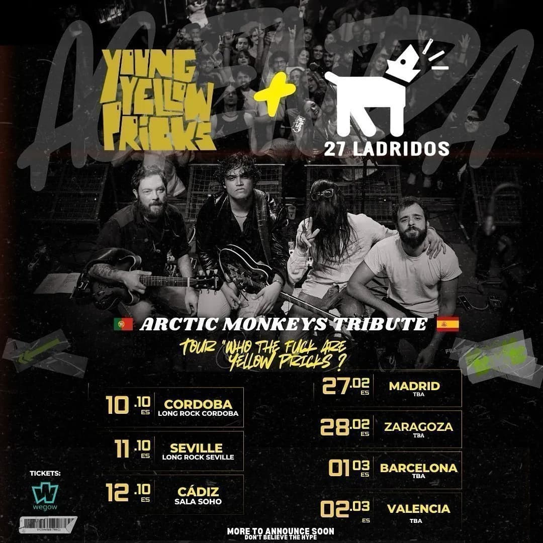 CONCIERTO YOUNG YELLOW PRICKS - ARCTIC MONKEYS TRIBUTE