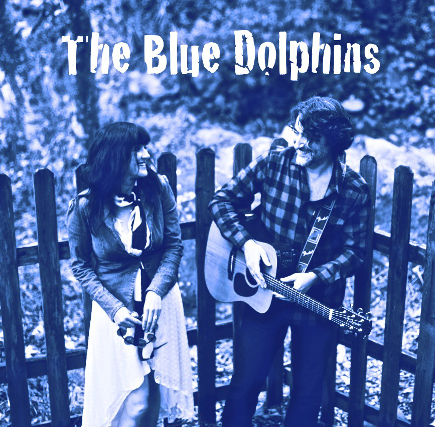 the blue dolphins