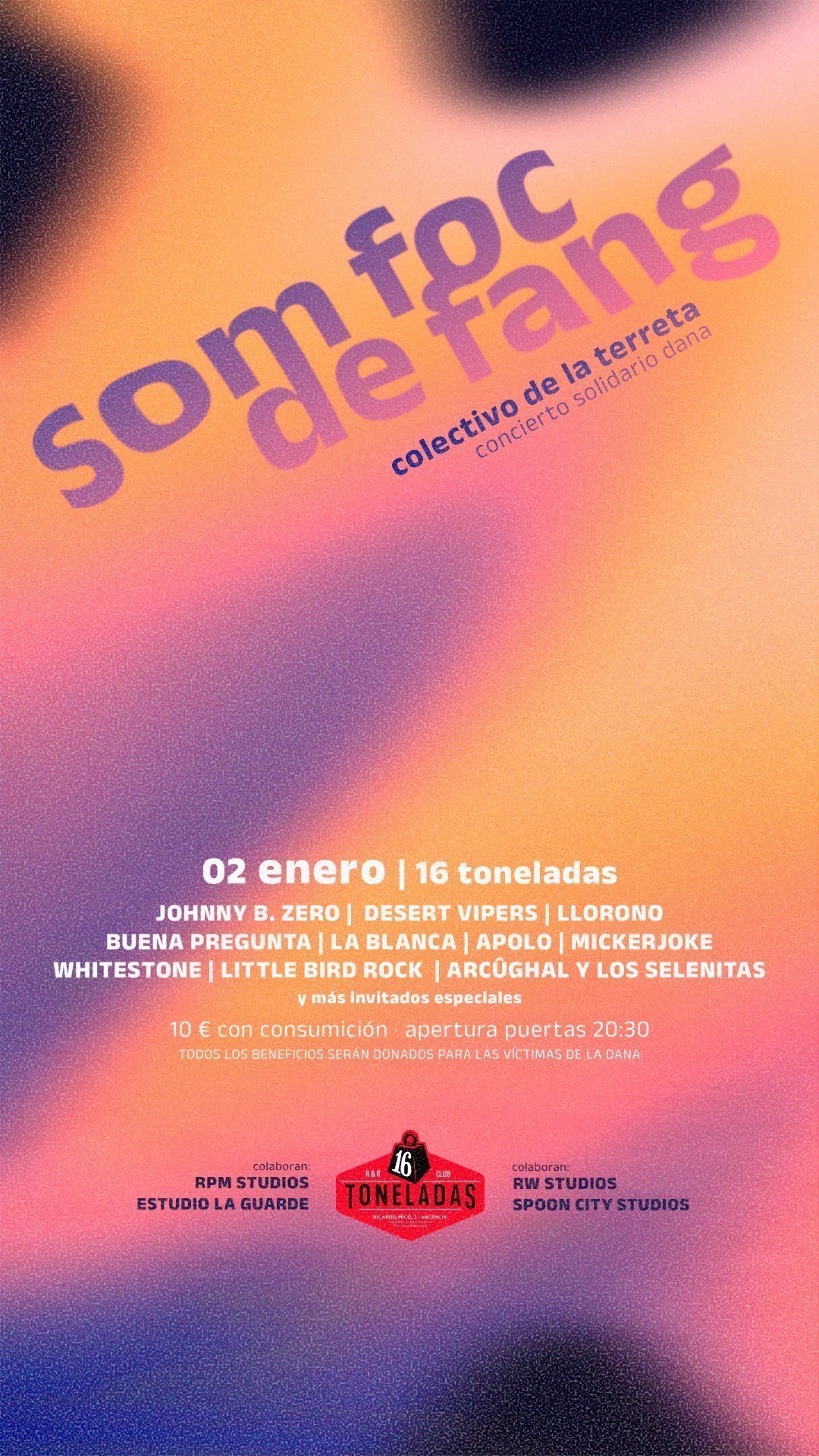 somfocdefang-2-enero-16-toneladas-vertical